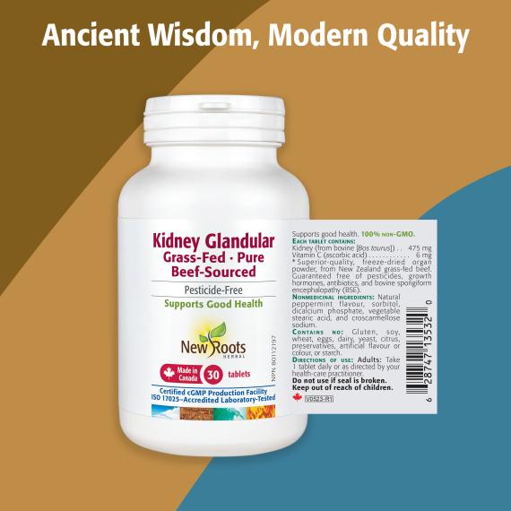 Kidney Glandular